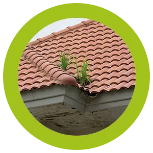 West Palm Beach Restoration Expert West Palm Beach, FL 561-406-0350