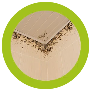 West Palm Beach Restoration Expert West Palm Beach, FL 561-406-0350